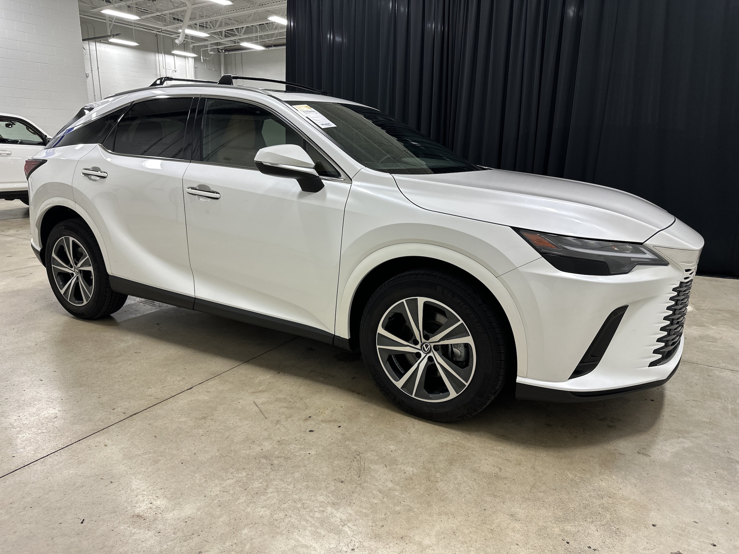 lexus rx hybrid 2025 2T2BBMCA1SC090262 image lexus rx hybrid 2025 2T2BBMCA1SC090262 image
